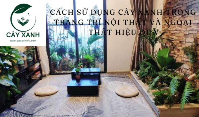 Cách sử dụng cây xanh trong trang trí nội thất và ngoại thất hiệu quả