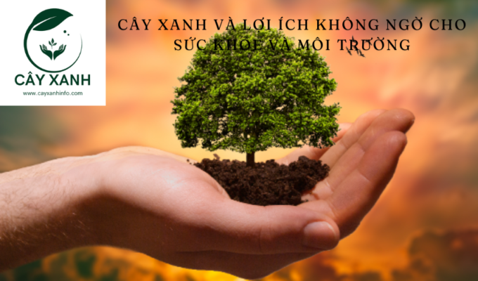 Cây xanh và lợi ích không ngờ cho sức khỏe và môi trường